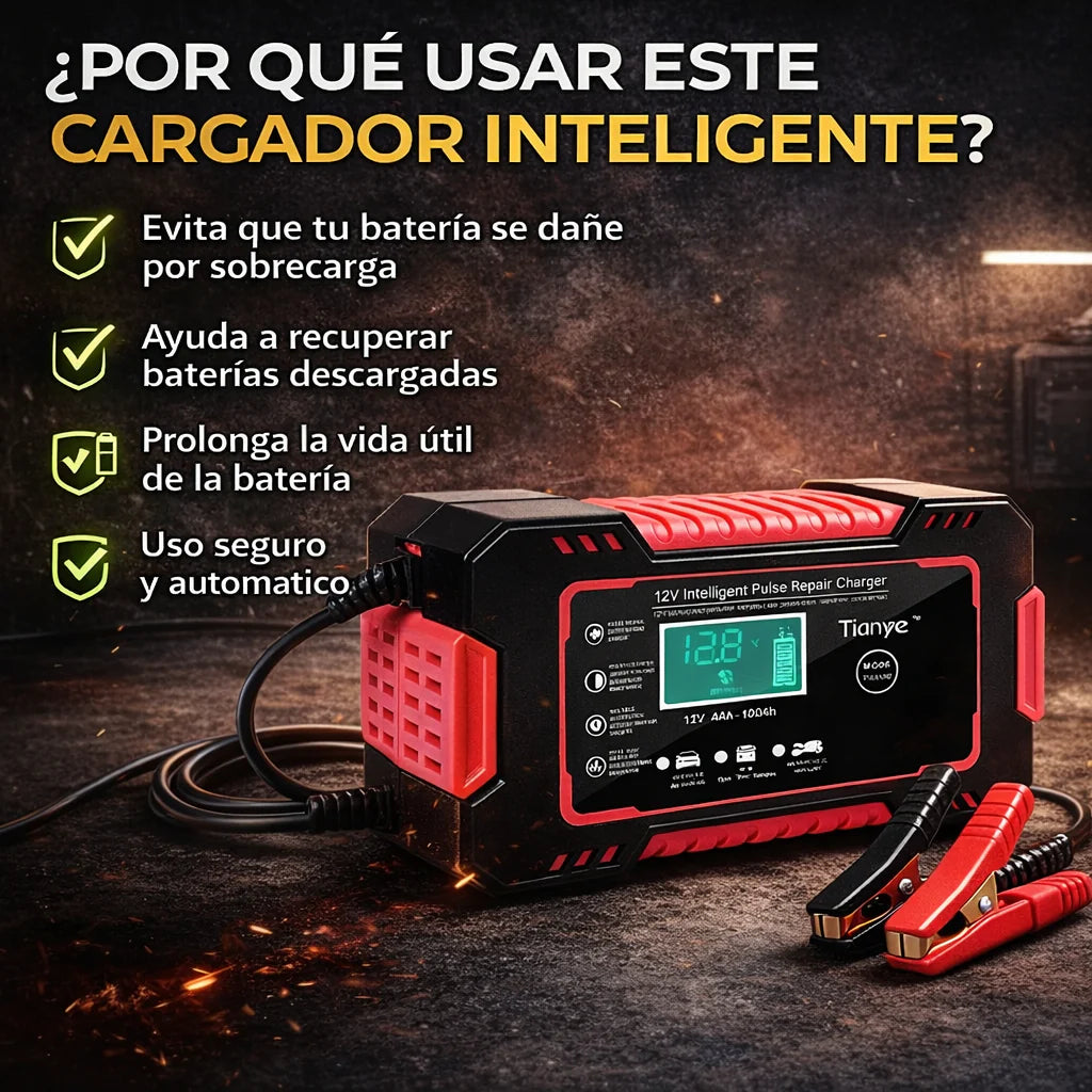PROEnergy - Cargador Inteligente 12V para Baterías