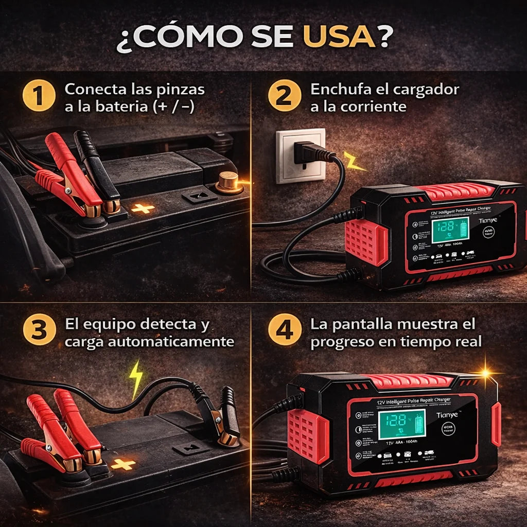 PROEnergy - Cargador Inteligente 12V para Baterías