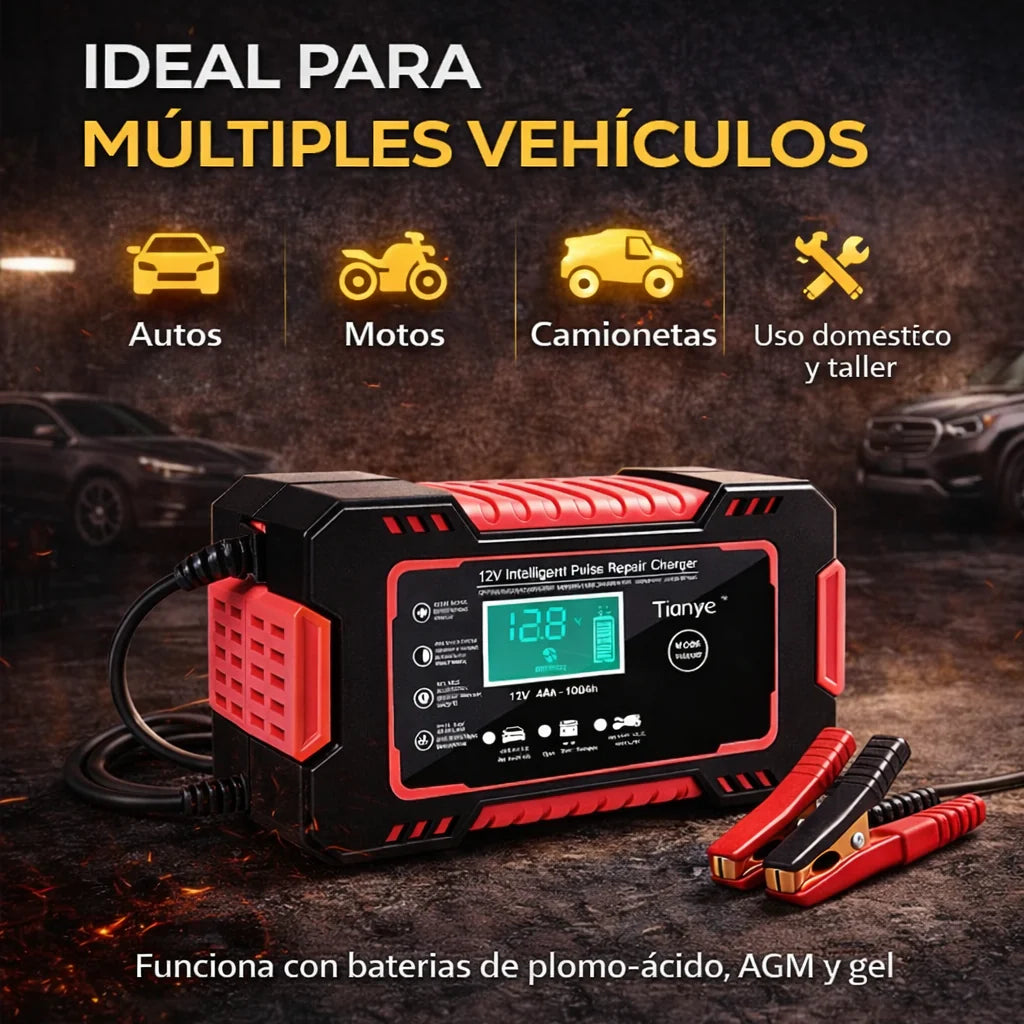 PROEnergy - Cargador Inteligente 12V para Baterías