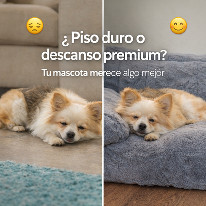Sofá Plush Premium para Mascotas – El Descanso Que Tu Peludo Se Merece